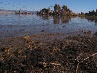 3518 Mono Lake 